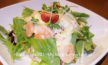 20110729 salada.JPG